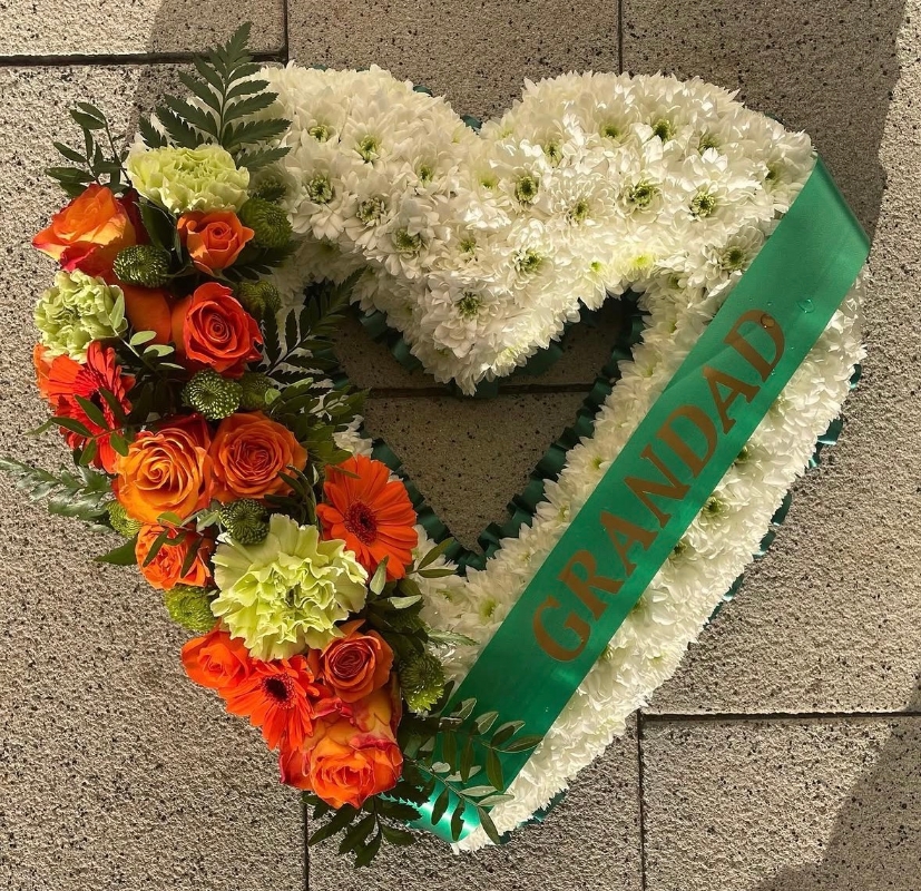 Chrysanthemum Open Heart