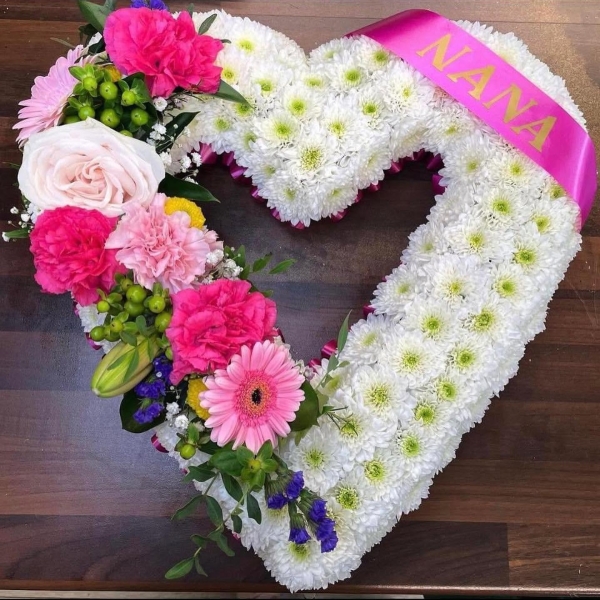 Chrysanthemum Open Heart