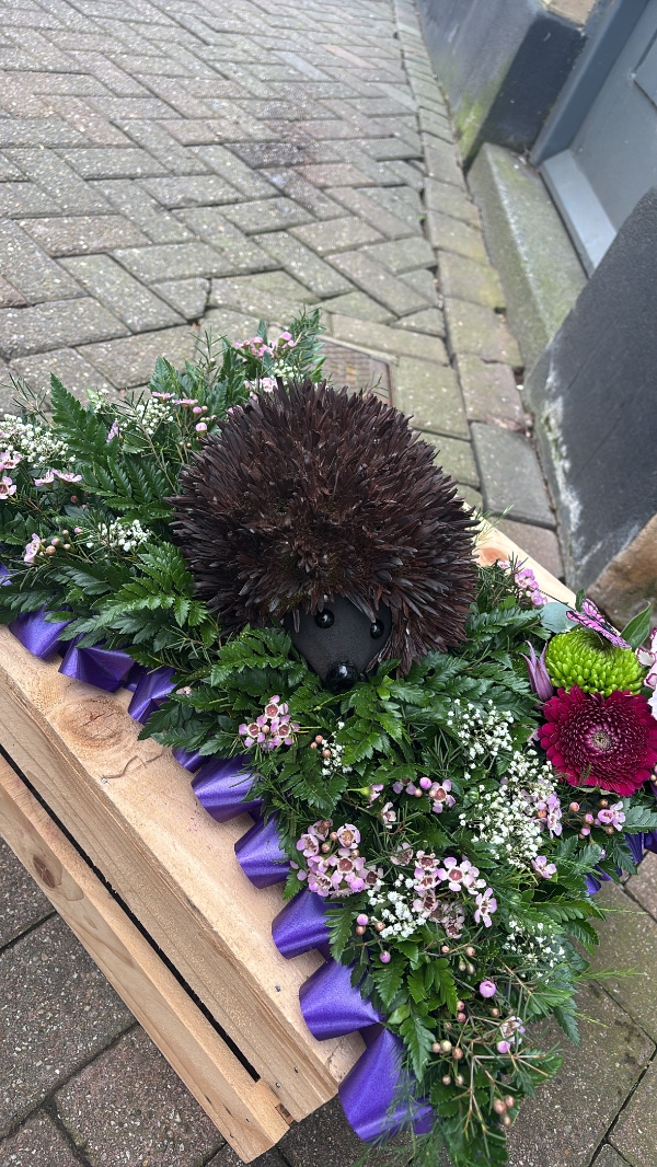 Hedgehog Pillow Tribute