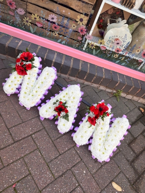Nan Letters