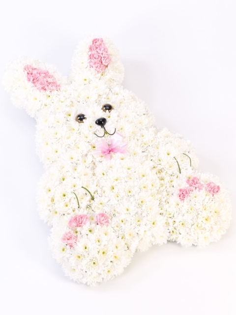 Bunny Rabbit