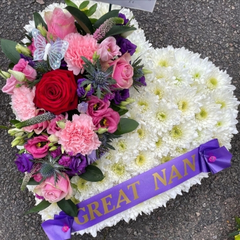 Chrysanthemum Closed Heart