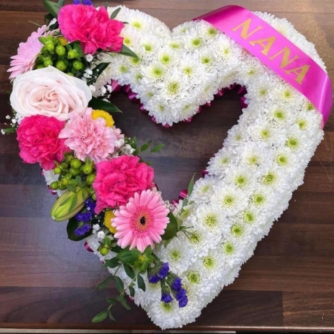 Chrysanthemum Open Heart
