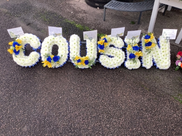 Cousin Letters