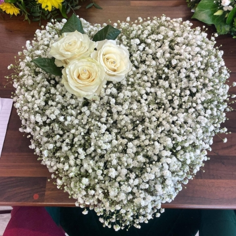 Gypsophila Closed Heart