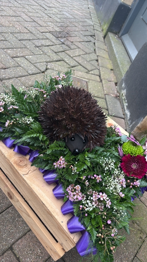 Hedgehog Pillow Tribute