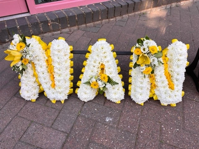 Nan Letters