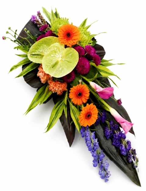 Tropical Contemporary Single Ended Spray